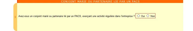Conjoint marié ou partenaire lié par un PACS