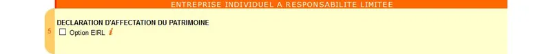 Entreprise individuelle à responsabilité limitée