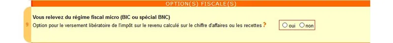 Option fiscale